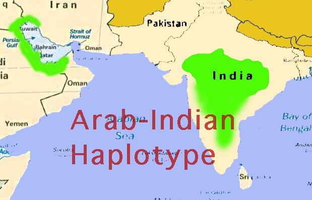 Image of SickleHaplotype Distribution in the Middle East and India