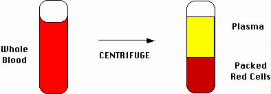 Hematocrit Schematic